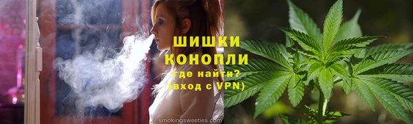 эйфоретик Гусь-Хрустальный