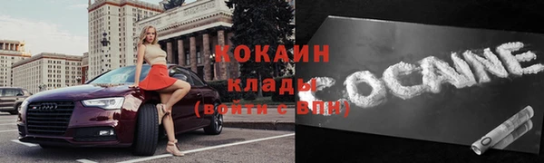 крисы Гусев