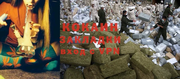 крисы Гусев