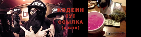крисы Гусев