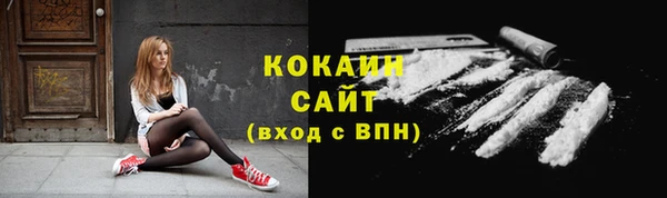 эйфоретик Гусь-Хрустальный