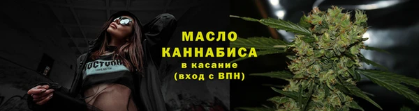 эйфоретик Гусь-Хрустальный