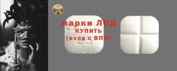 крисы Гусев