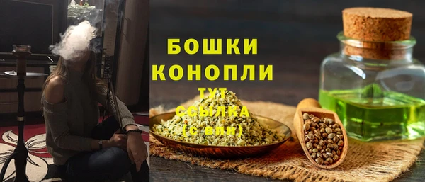 крисы Гусев