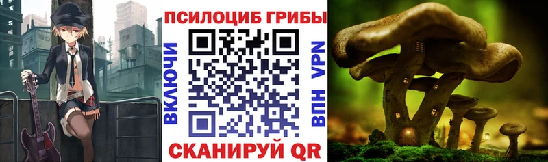 Псилоцибиновые грибы мухоморы  мега tor  Давлеканово 